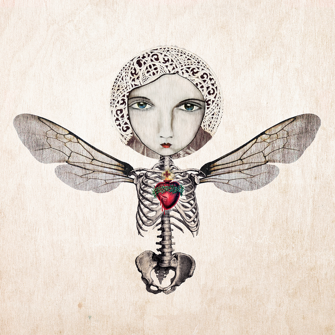 view BOOK : THE SECRET LIFE OF BEES
