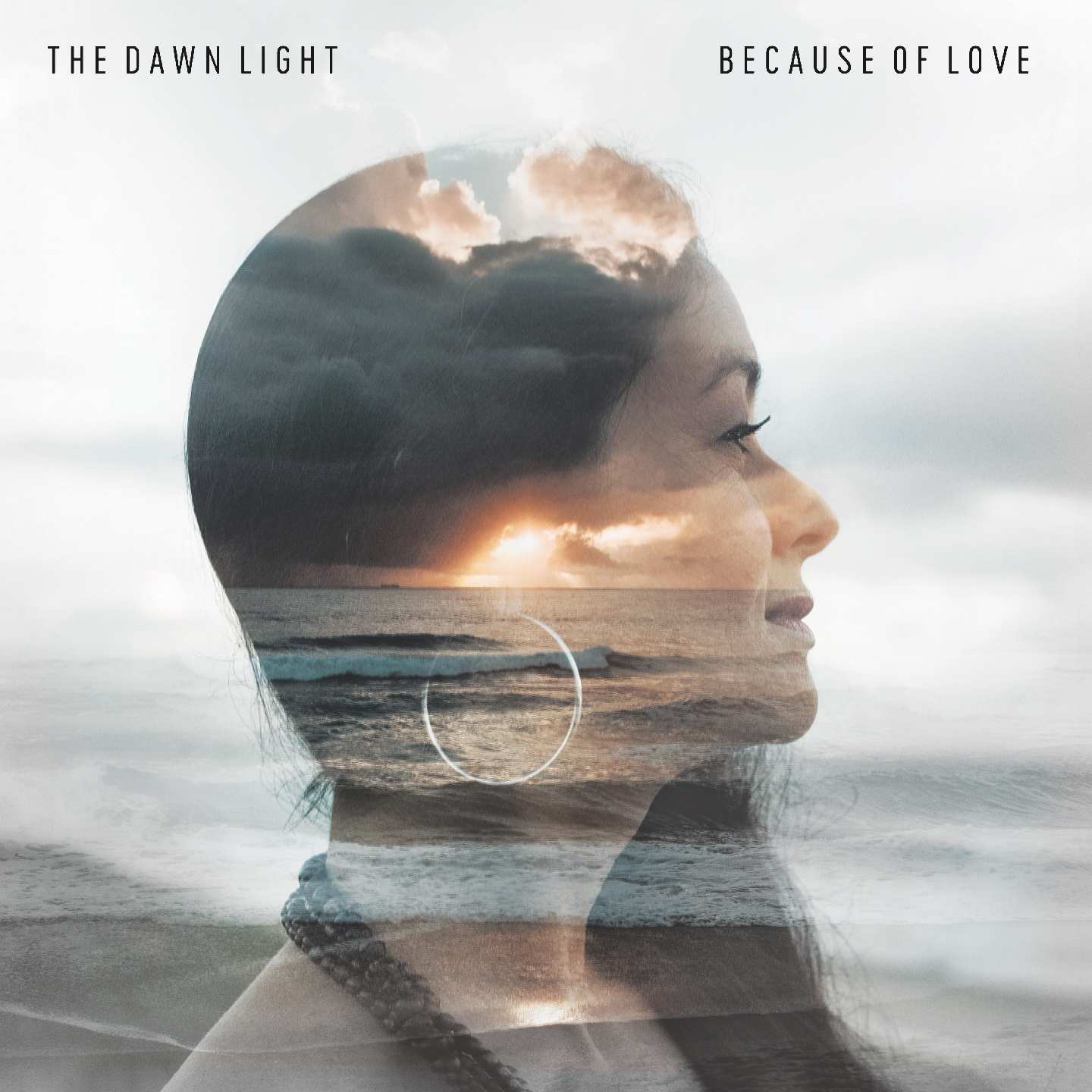 view THE DAWN LIGHT VINYL ART